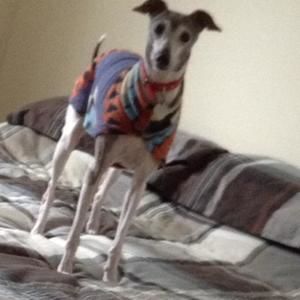 Meet your Posher, Zach